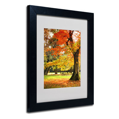 « of colors », reproduction de photo sur toile encadrée Alvares