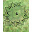 Tapis vert contemporain en laine noué à la main Coronel 5 pi 1 po x 8 pi 2 po
