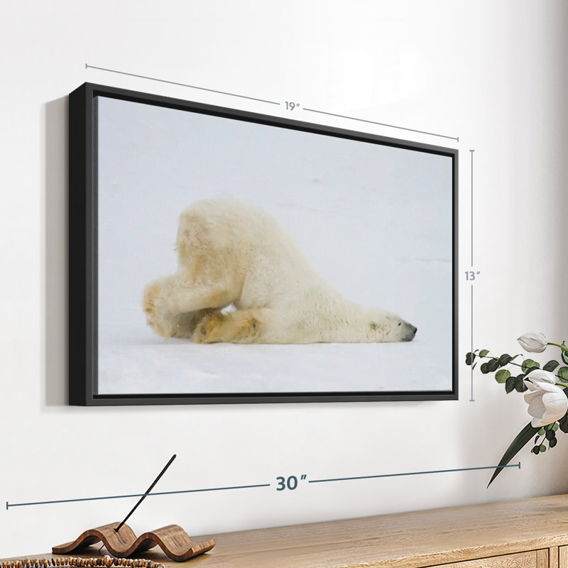 «Lazy Bear», reproduction sur toile, H 13 po x l 19 po
