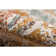 Botolphus Oriental Indoor Rug