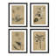 Ensemble de 4 impressions rétro encadrées sur papier, ensemble de 4 plantes rétro-93012478-93012480