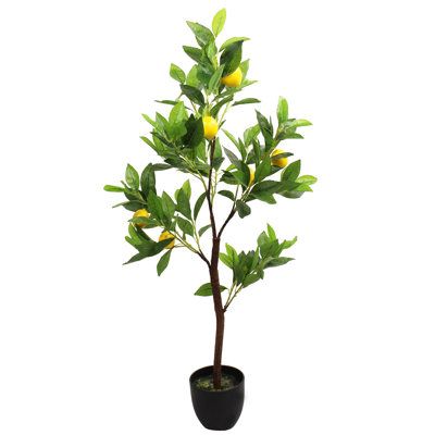91cm Evergreen Tree