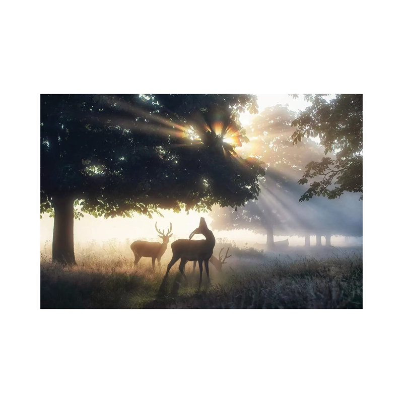 Garçons de l'été par Max Ellis - photographie sur toile tendue, H 8 po x l 12 po x P 0,75 po