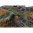 Newsom Multi Rug