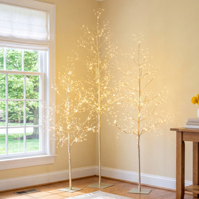 Lighted Trees & Branches
