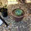 Customer photo 1 of 2