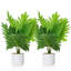Faux arbre parasol Schefflera avec pot de fleurs