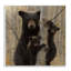 31_Ours noir et oursons tendres, forêt tendue de forêt par Collin Bogle-105325578-105325579