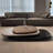 Premium Rotating Irregular Coffee Table