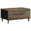 Coffee Table with Storage