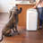 Kya 1280oz. Food Storage Container