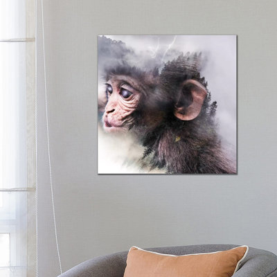 Monkey by Paul Haag - Print on Canvas