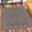 Aloisia Oriental Area Rug-1753606672