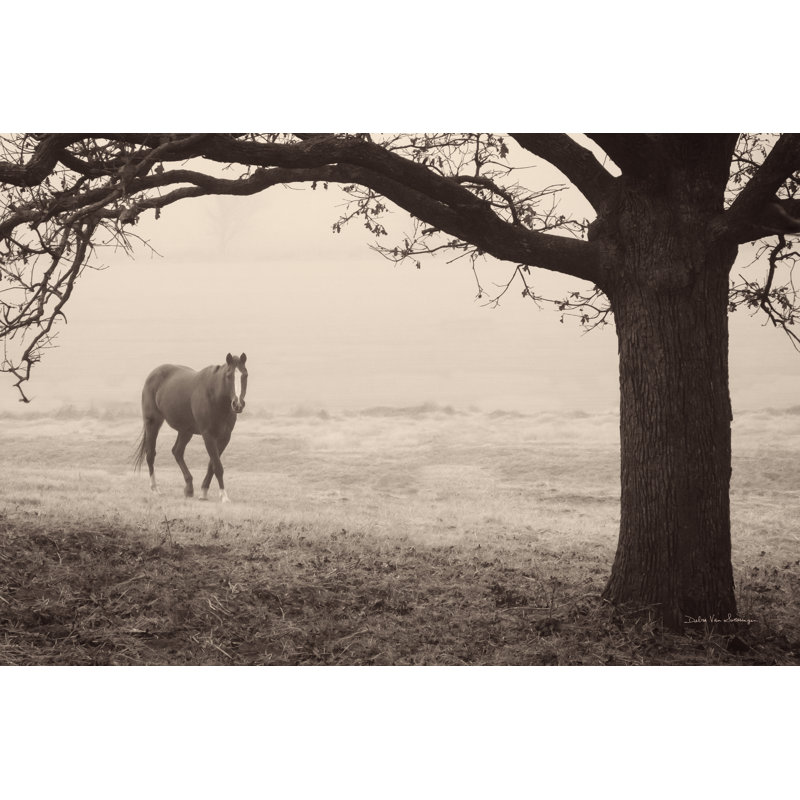 Hazy Horse I, H 12 po x l 18 po, Oui, Noyer avec cadre simple