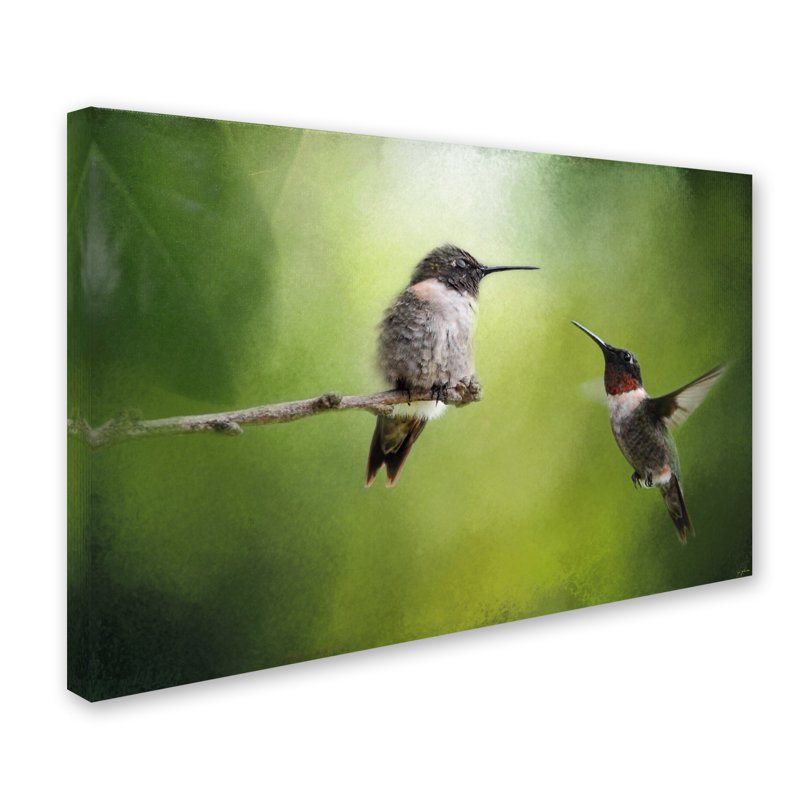 «Wake Up Call Hummingbirds» de Vidur, impression sur toile tendue, 16 po x 24 po