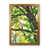 Brown Framed is unavailable