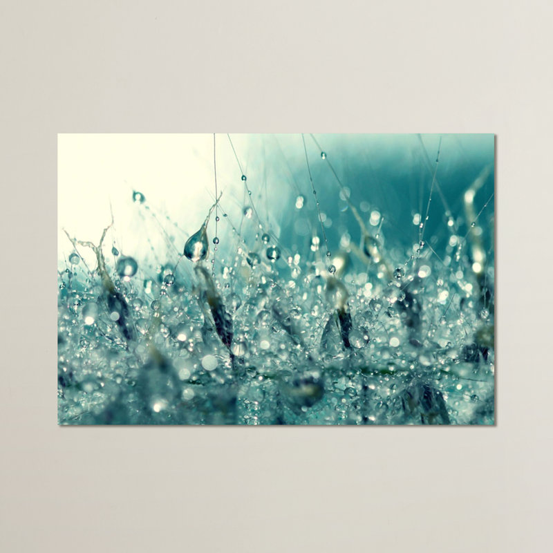 « under the sea », reproduction de photo sur toile, H 22 po x l 32 po x p 2 po, Toile tendue