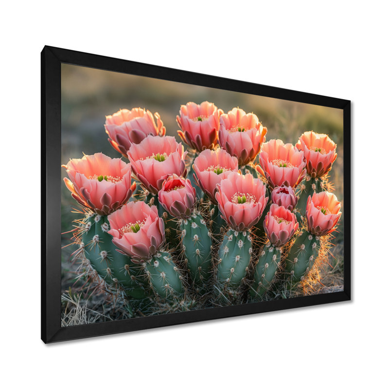 Cactus en pleine floraison à l'aube I - art mural cactus, H 12 po x l 20 po, Cadre simple, Noir
