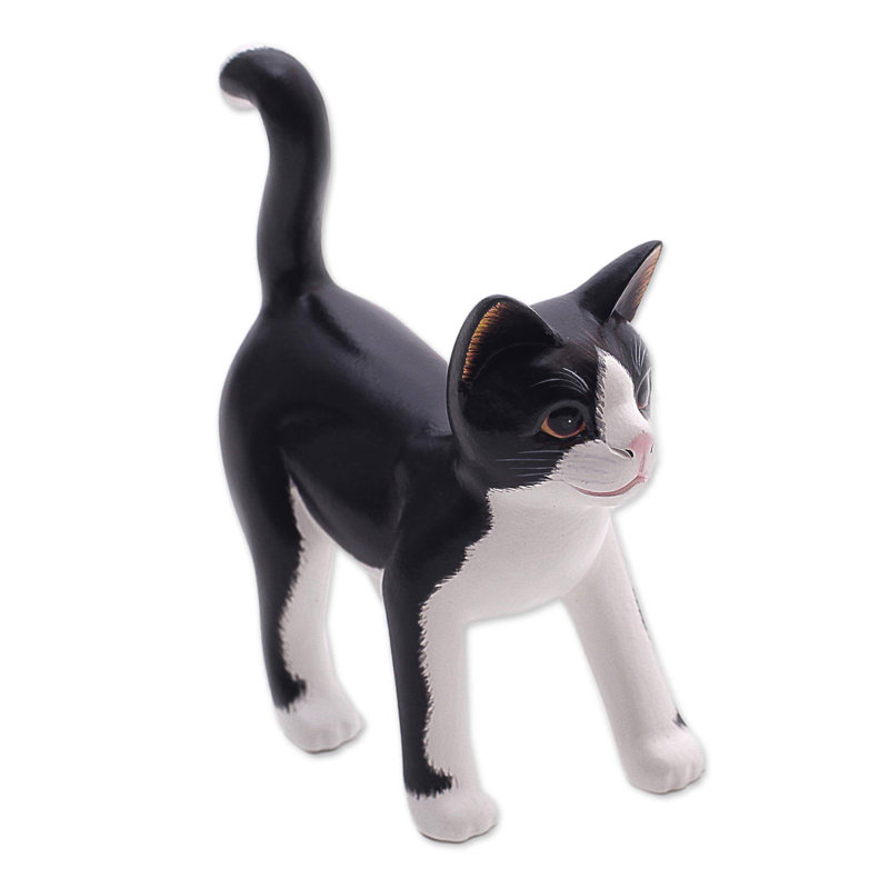 Curieux chat smoking