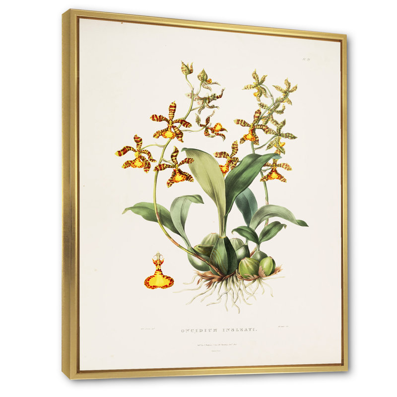 Fleur rétro I - peinture sur toile, H 32 po x l 24 po x P 1 po, Cadre flottant doré