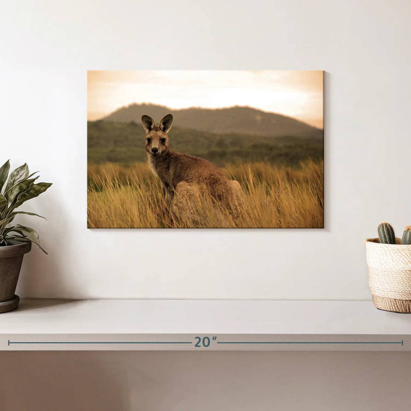 Brampt Wild Kangaroo, 8" H x 12" W