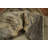 Abstract Modern Design Chic Textured Neutral Rug 5x8