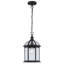 Lanterne suspendue d'extérieur à 1 ampoule H 13,5 po Roscoe-1381454153