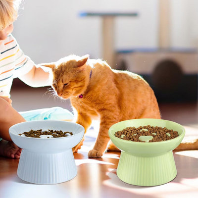 2 Pcs Ceramic Slow Feeder RaisedCat Food Bowl Elevated Cat Bowls Dry Wet Food for Cats and Dogs