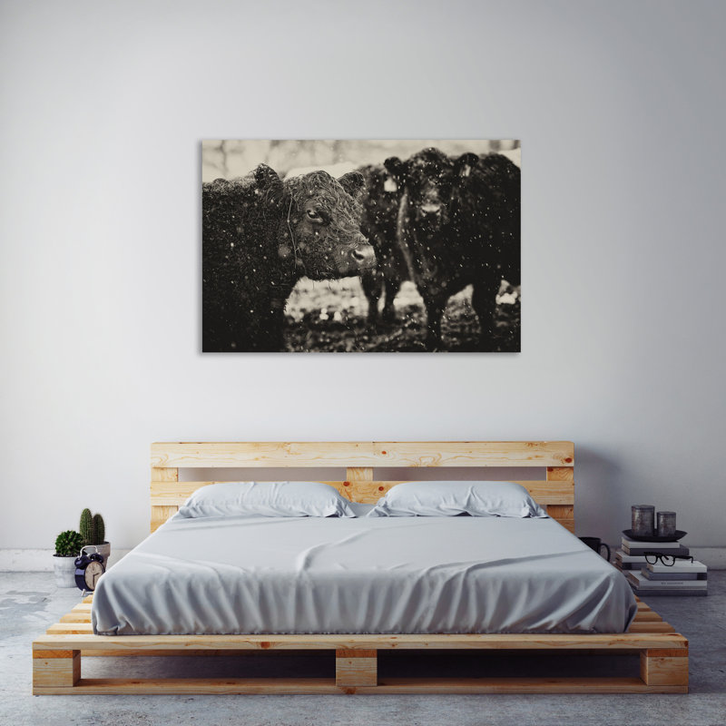 «Its Snowing», toile tendue par Aledanda, H 40 po x l 60 po x P 1,5 po
