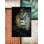 " Lordly Lion Patterns "