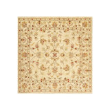 Shandrea Hand Woven Cotton and Wool Oriental Area Rug