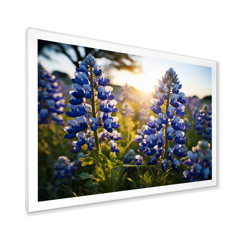 «Blue Bonnets Field Photo IV», reproduction d'art sur toile, Cadre photo blanc, H 24 po x l 32 po x P 1 po