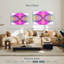 Avery, motif symétrique en V-108958267