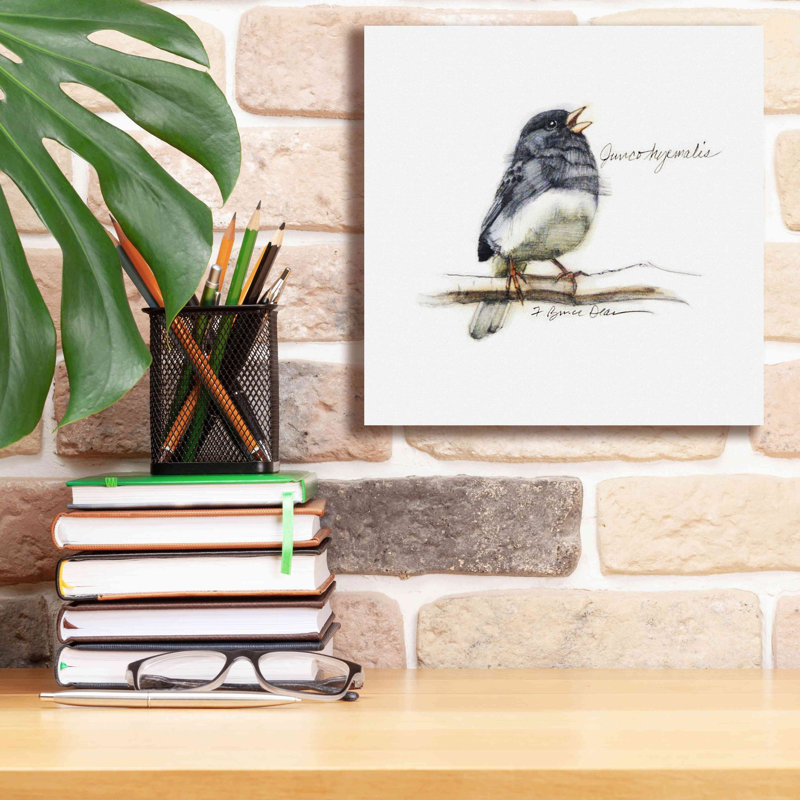 «Songbird Study VI» par Bruce Dean, estampe numérique sur toile, H 12 po x l 12 po x P 0,75 po