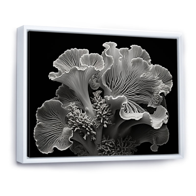 Anémone noire et blanche II - décoration murale plage et océan, Cadre flottant blanc, H 34 po x l 44 po
