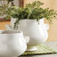 Wellon Handmade Ceramic Planter-858369497