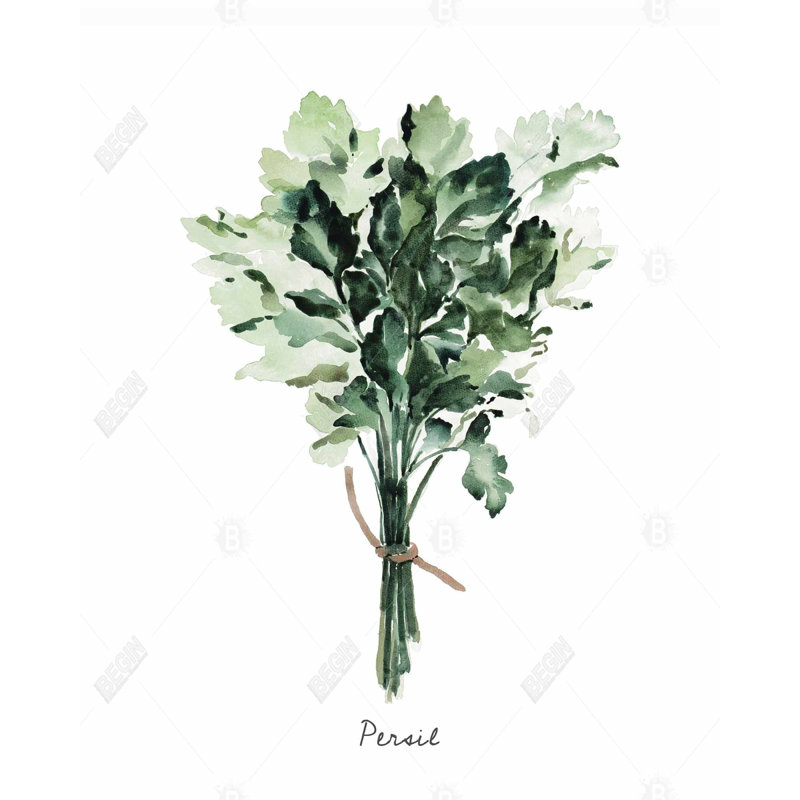 " Tied Up Persil Bundle - Fr "