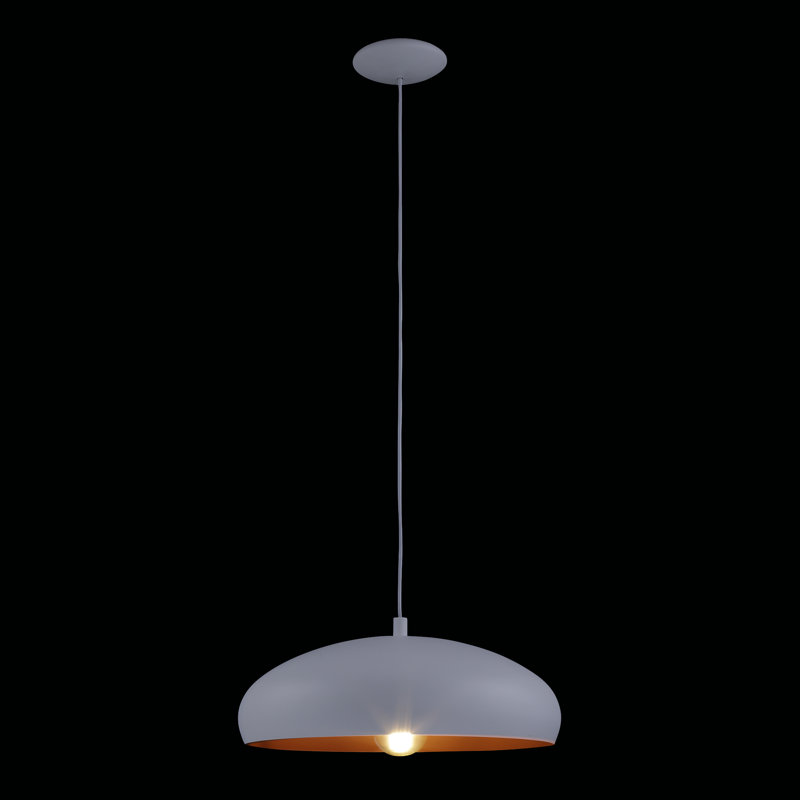 Raina 1 - Light Dome Pendant