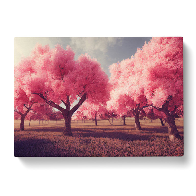 Enticing Cherry Blossom Trees - Wrapped Canvas, 35cm H x 50cm W x 3cm D