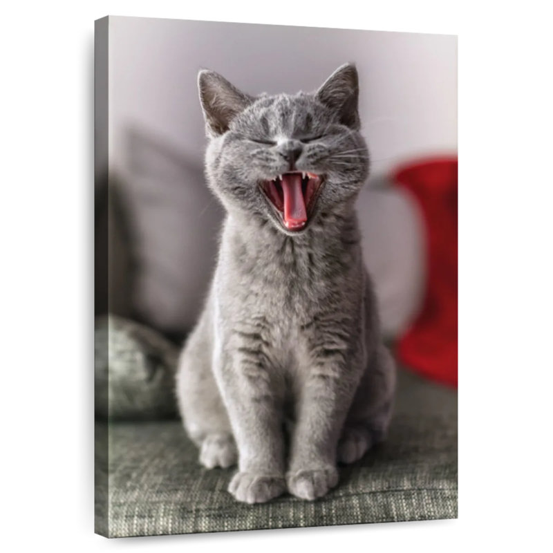 Yawning Cat, 36" H x 24" W