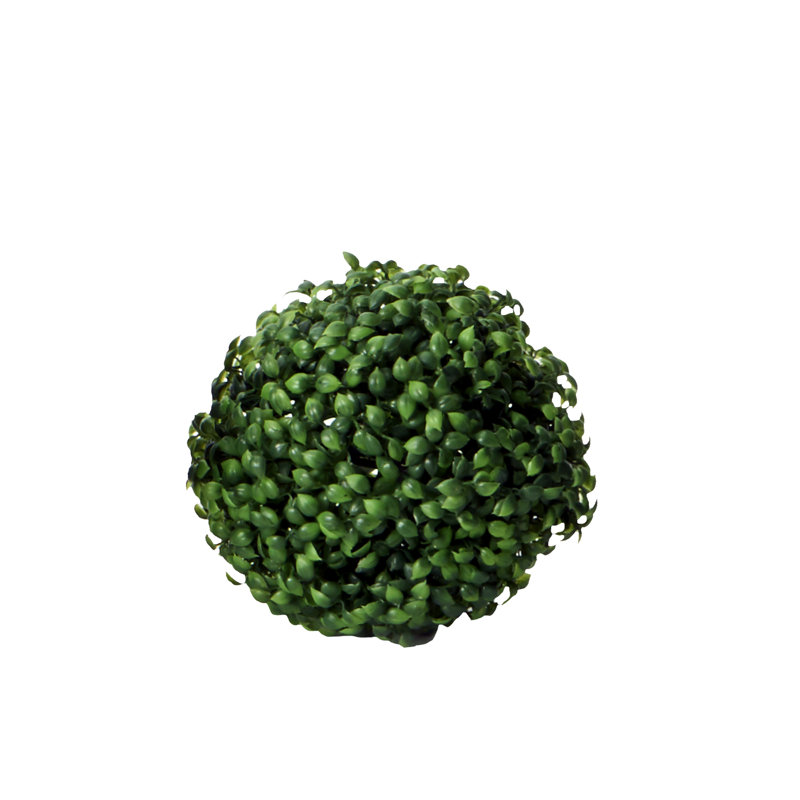 Topiaire buis ball plante