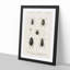 Beetle Illustration PL.5 by Charles D'Orbigny - Single Picture Frame Print-55543875-55543878