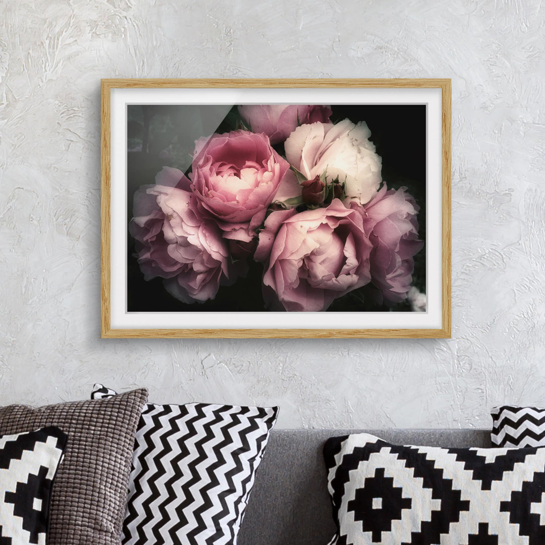 Gerahmter Grafikdruck Peonies Before Black Shabby