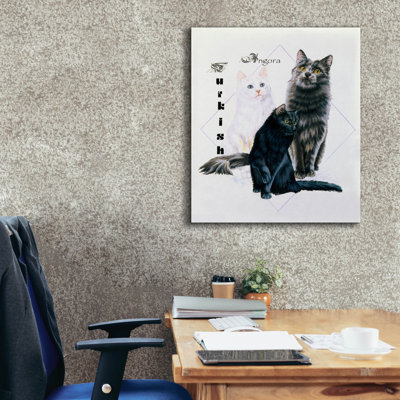 «Turkish Angora» par Barbara Keith sur