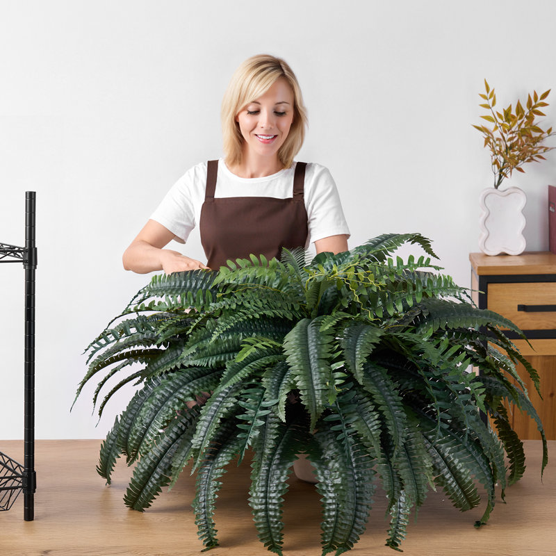 60cm Faux Fern Plant, 60cm x 120cm, 4