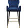 Briannan Upholstered Counter Stool with Solid Wood Frame