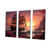 Wrapped Canvas