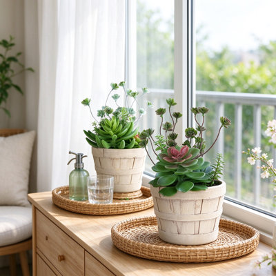 Set of 2 Artificial Trailing Succulents, Faux Plants in Beige Cement Pots, Modern Table & Shelf Decor