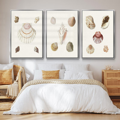 " Pastel Knorr Shells IV " 3 - Pieces