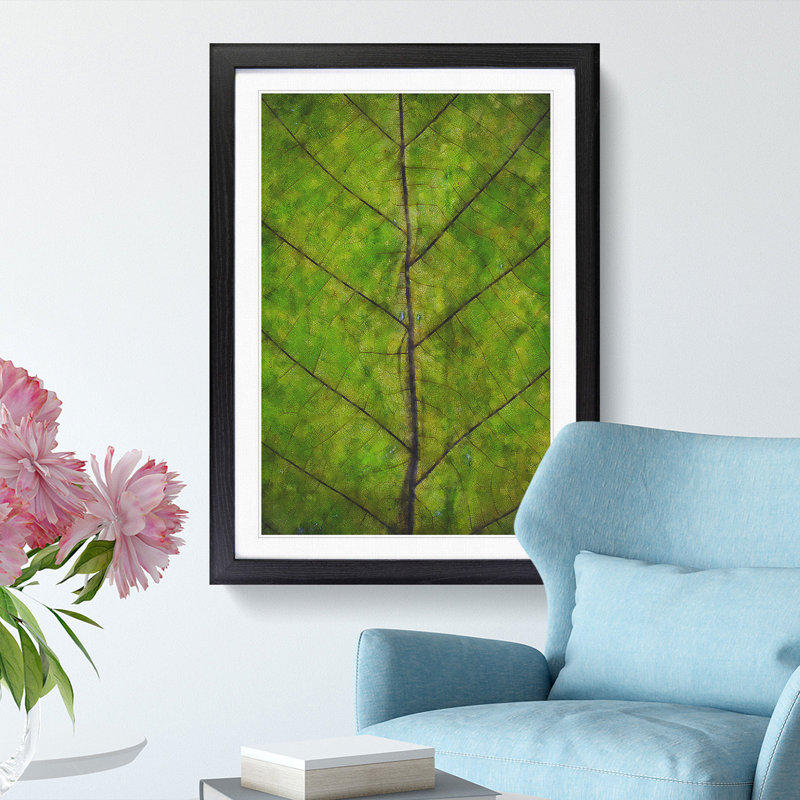 Leaf Lines - Framed Print, 45cm H x 33cm W x 2cm D, Black Framed